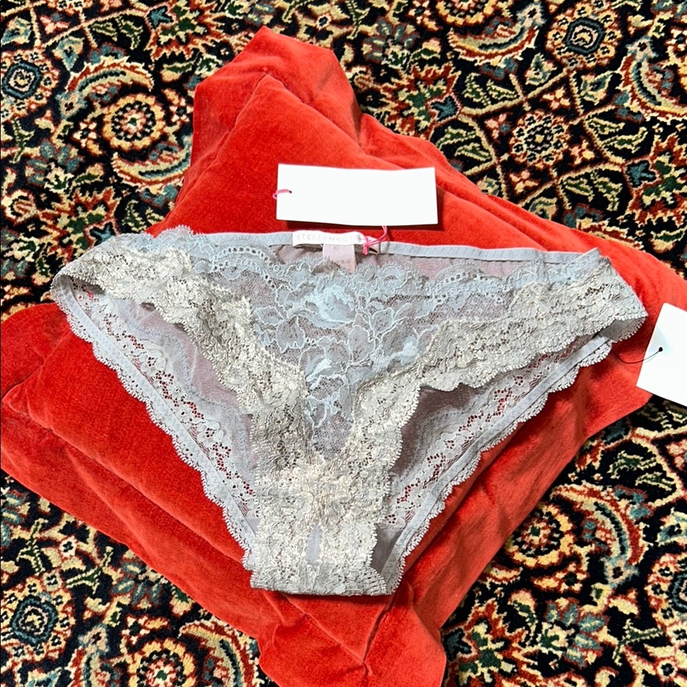 Stella McCartney NWT sheer Grey Gold Foil  Lace panty M